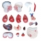 Manechin pentru pregatire medicala - TORS 85 cm - 19 parti